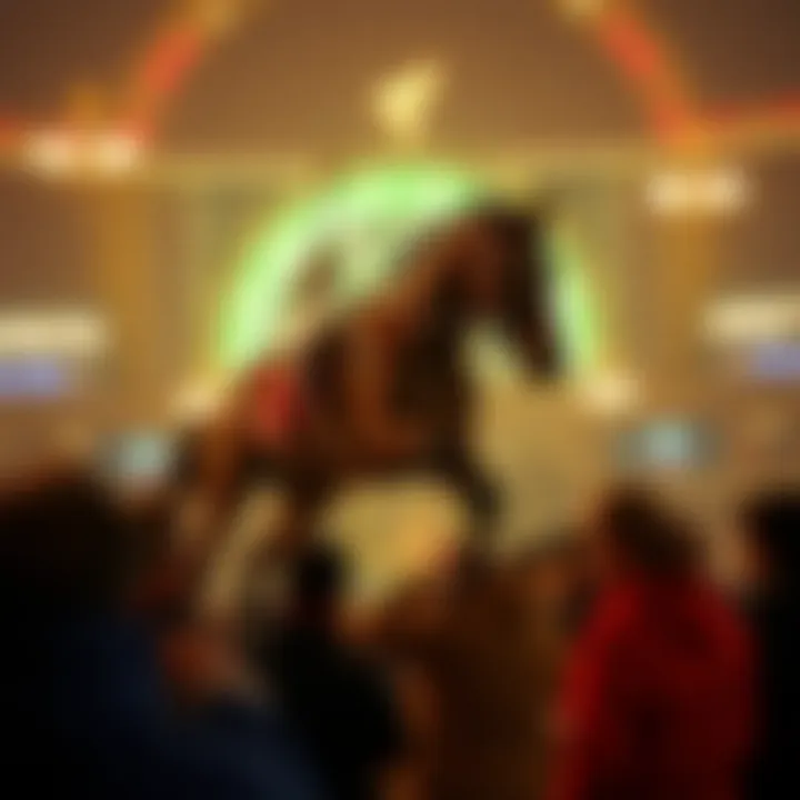 Magnificent 실시간배팅에 대한 포괄적 분석