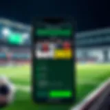 Overview of the bet365 apk interface