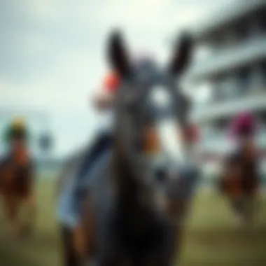 Evolution of technology in horse racing