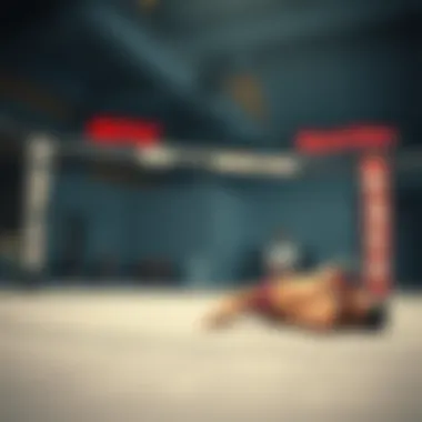 UFC 배팅 전략과 선택 Summary